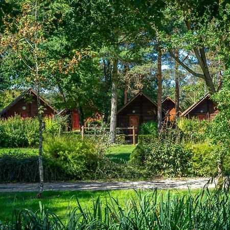 Hôtel Le Domaine du Cerf Blanc à Carentoir Extérieur photo